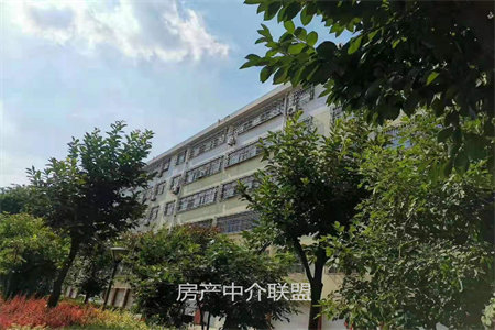 出售泰安印象泰山3室2厅2卫137平毛坯房